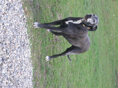 to je naše jedina holka.JPG